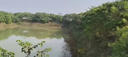 किसान अमरेंद्र ने अरहर दाल से कमाए तीन लाख रुपए, सरकारी योजना से प्रेरित होकर कोसी क्षेत्र में सफल खेती की किसान अमरेंद्र ने अरहर दाल से कमाए तीन लाख रुपए, सरकारी योजना से प्रेरित होकर कोसी क्षेत्र में सफल खेती की