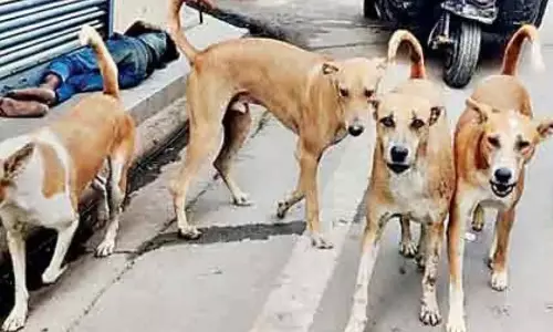 विधायक के बयान पर भड़के एनिमल लवर्स, विवाद शुरू विधायक के बयान पर भड़के एनिमल लवर्स, विवाद शुरू