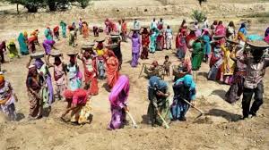 नियमों के बावजूद हरियाणा में MGNREGS मजदूरों को बेरोजगारी भत्ता नहीं मिल रहा : Congress MP