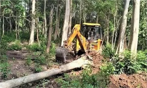 Singrauli: 6 लाख पेड़ों की कटाई स्थानीय लोग डर के साए में Singrauli: 6 लाख पेड़ों की कटाई स्थानीय लोग डर के साए में