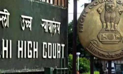 इंडिगो संकट: स्थिति इतनी खराब क्यों हुई, Delhi हाई कोर्ट ने केंद्र से पूछा