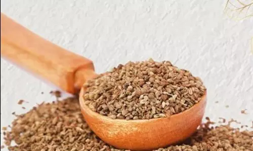 पेट दर्द से खांसी तक, सर्दियों में वरदान है अजवाइन