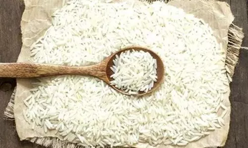 Haryana : ट्रंप के भारतीय बासमती पर ज़्यादा टैरिफ़ के संकेत के बाद एक्सपोर्टर्स ने केंद्र का साथ दिया Haryana : ट्रंप के भारतीय बासमती पर ज़्यादा टैरिफ़ के संकेत के बाद एक्सपोर्टर्स ने केंद्र का साथ दिया