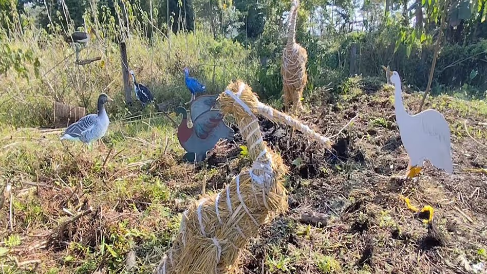 Assam : माजुली का चाराइचुंग फेस्टिवल एशिया के सबसे पुराने पक्षी अभयारण्य को फिर से ज़िंदा करने पर ज़ोर दे रहा Assam : माजुली का चाराइचुंग फेस्टिवल एशिया के सबसे पुराने पक्षी अभयारण्य को फिर से ज़िंदा करने पर ज़ोर दे रहा