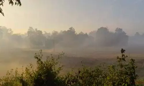 सर्दियों के कोहरे में लिपटा Majuli, मनमोहक सुबह का नजारा सर्दियों के कोहरे में लिपटा Majuli, मनमोहक सुबह का नजारा