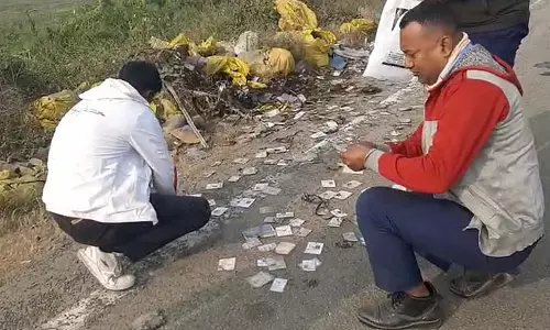 नदिया में सड़क किनारे Voter Card के बोरे मिले, जिससे हंगामा मच गया। नदिया में सड़क किनारे Voter Card के बोरे मिले, जिससे हंगामा मच गया।