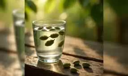 सुबह का इलायची पानी, Health के लिए छोटा जादू