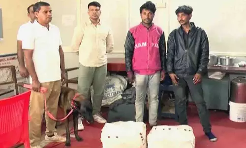 भुवनेश्वर GRP ने गांजा तस्करी रैकेट पकड़ा, 2 हिरासत में भुवनेश्वर GRP ने गांजा तस्करी रैकेट पकड़ा, 2 हिरासत में