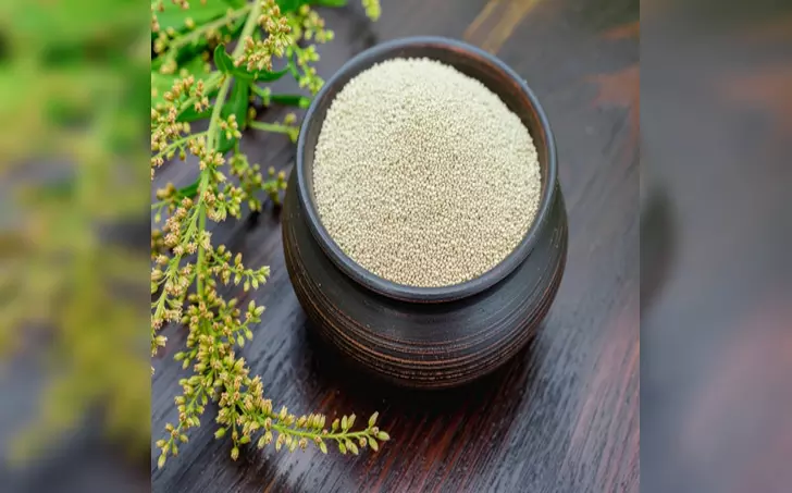 चौलाई के बीज: बुजुर्गों से लेकर गर्भवती महिलाओं के लिए सुपरफूड है चौलाई के बीज, सेवन से मिलेंगे कई लाभ चौलाई के बीज: बुजुर्गों से लेकर गर्भवती महिलाओं के लिए सुपरफूड है चौलाई के बीज, सेवन से मिलेंगे कई लाभ