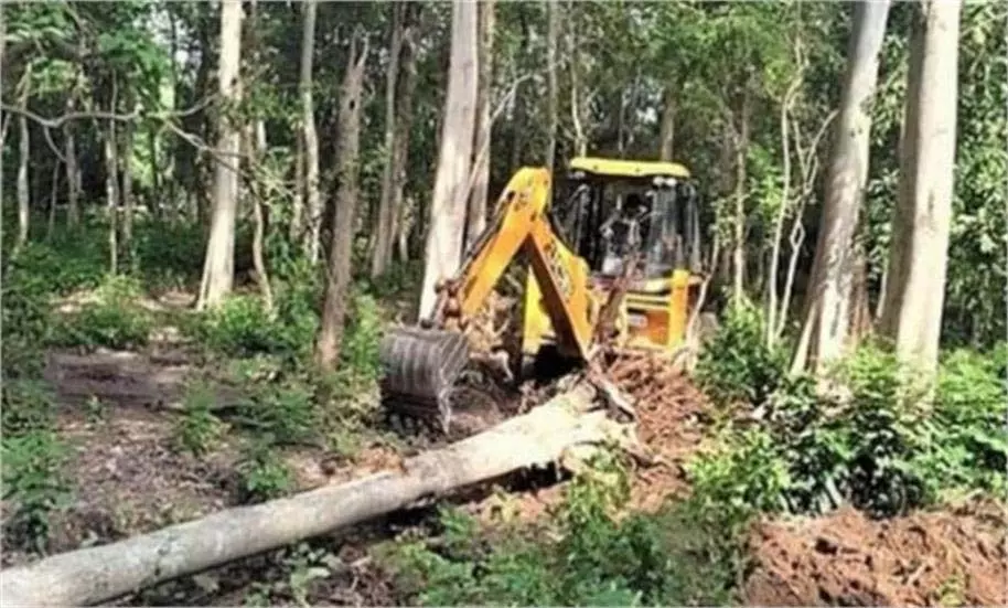 Singrauli: 6 लाख पेड़ों की कटाई स्थानीय लोग डर के साए में Singrauli: 6 लाख पेड़ों की कटाई स्थानीय लोग डर के साए में