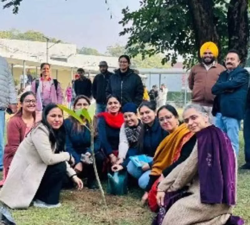 Ludhiana: कृषि विश्वविद्यालय ने विश्व मृदा दिवस पर शहरी स्थिरता के लिए आह्वान किया Ludhiana: कृषि विश्वविद्यालय ने विश्व मृदा दिवस पर शहरी स्थिरता के लिए आह्वान किया