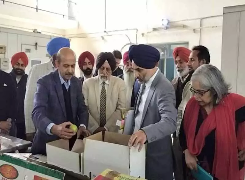 प्रतिनिधिमंडल ने PAU के पोस्टहार्वेस्ट सेंटर में सुविधाओं की समीक्षा की प्रतिनिधिमंडल ने PAU के पोस्टहार्वेस्ट सेंटर में सुविधाओं की समीक्षा की