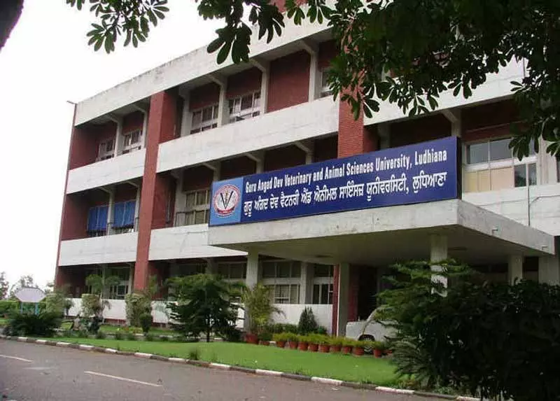 Veterinary University वन हेल्थ पर संगोष्ठी का आयोजन करेगी Veterinary University वन हेल्थ पर संगोष्ठी का आयोजन करेगी