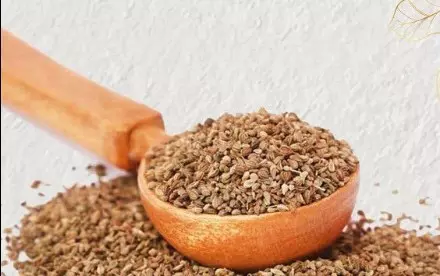 पेट दर्द से खांसी तक, सर्दियों में वरदान है अजवाइन पेट दर्द से खांसी तक, सर्दियों में वरदान है अजवाइन