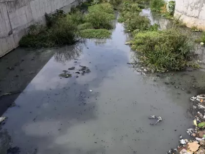 संगनूर नहर की मरम्मत पर धीमी प्रगति, Coimbatore में पानी की समस्या बढ़ी संगनूर नहर की मरम्मत पर धीमी प्रगति, Coimbatore में पानी की समस्या बढ़ी