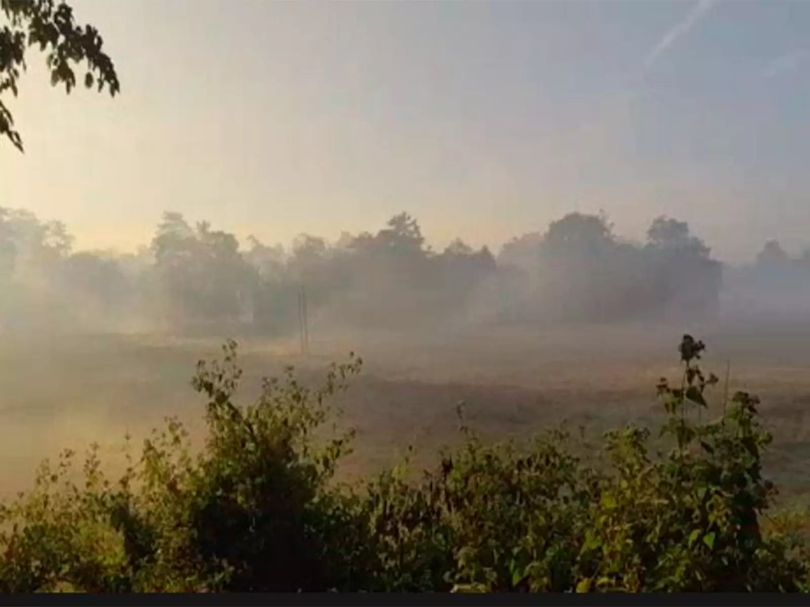 सर्दियों के कोहरे में लिपटा Majuli, मनमोहक सुबह का नजारा सर्दियों के कोहरे में लिपटा Majuli, मनमोहक सुबह का नजारा