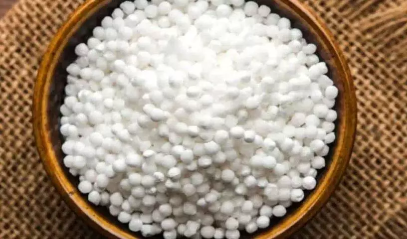 सभी मौसमों में साबूदाना (Saggubiyyam) के स्वास्थ्य लाभ सभी मौसमों में साबूदाना (Saggubiyyam) के स्वास्थ्य लाभ