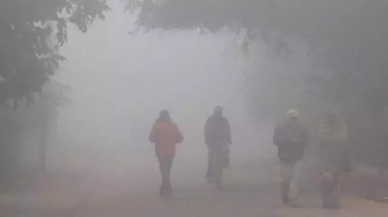Hyderabad और तेलंगाना के लिए भीषण शीतलहर की चेतावनी Hyderabad और तेलंगाना के लिए भीषण शीतलहर की चेतावनी
