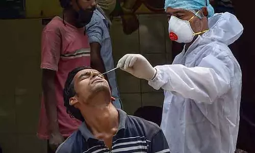 स्क्रब टाइफस फैलने का खतरा: तमिलनाडु में गहन निगरानी स्क्रब टाइफस फैलने का खतरा: तमिलनाडु में गहन निगरानी