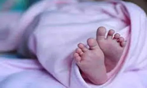 Bhopal: नवजात शिशुओं के शव मिलने से सनसनी Bhopal: नवजात शिशुओं के शव मिलने से सनसनी