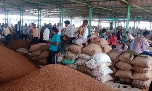 Punjab: दाना मंडी में दिन दिहाड़े बड़ी घटना, मचा हड़कंप Punjab: दाना मंडी में दिन दिहाड़े बड़ी घटना, मचा हड़कंप