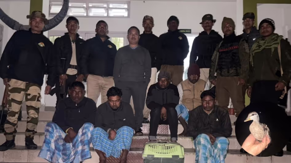 Assam : बिश्वनाथ के भोलाकाटा बील में जंगली पक्षियों के अवैध शिकार के आरोप