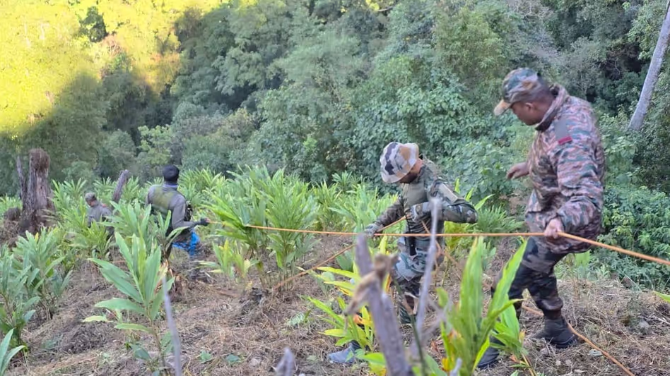 Arunachal के ऊंचे इलाकों में ट्रक गिरने से हुई जानलेवा दुर्घटना Arunachal के ऊंचे इलाकों में ट्रक गिरने से हुई जानलेवा दुर्घटना