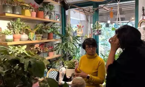 New Delhi, में पौधों वाला कैफे प्रदूषण से राहत का हरा-भरा ठिकाना New Delhi, में पौधों वाला कैफे प्रदूषण से राहत का हरा-भरा ठिकाना