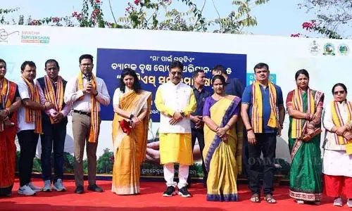 BMC ने सैनिक स्कूल के पास TTS में बड़े पैमाने पर पेड़ लगाने का अभियान शुरू किया BMC ने सैनिक स्कूल के पास TTS में बड़े पैमाने पर पेड़ लगाने का अभियान शुरू किया