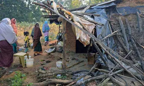 Balangir में जंगली हाथी ने महिला को कुचलकर मार डाला