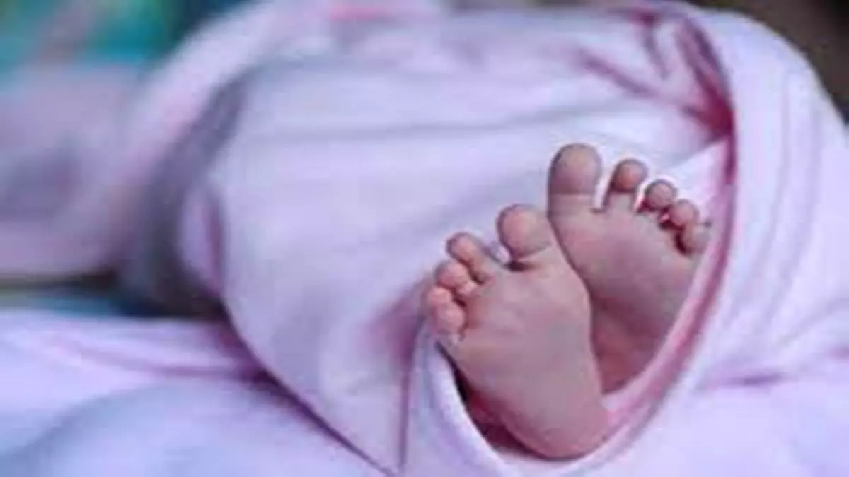Bhopal: नवजात शिशुओं के शव मिलने से सनसनी Bhopal: नवजात शिशुओं के शव मिलने से सनसनी