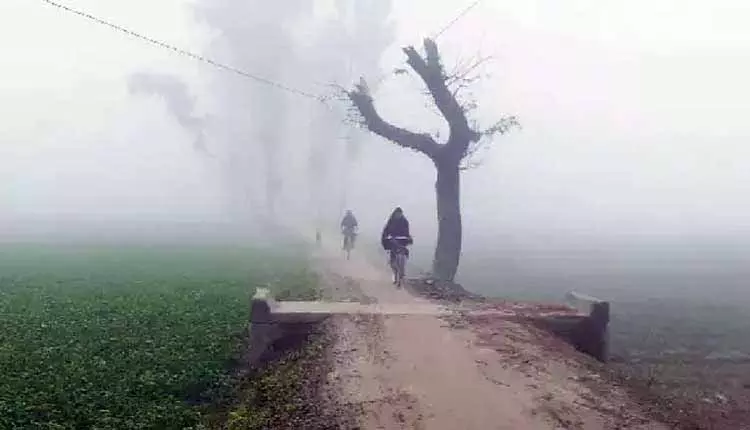 Odisha के 16 शहरों में तापमान 10°C से नीचे, सेमिलिगुडा में 3.5°C की कड़ाके की ठंड Odisha के 16 शहरों में तापमान 10°C से नीचे, सेमिलिगुडा में 3.5°C की कड़ाके की ठंड