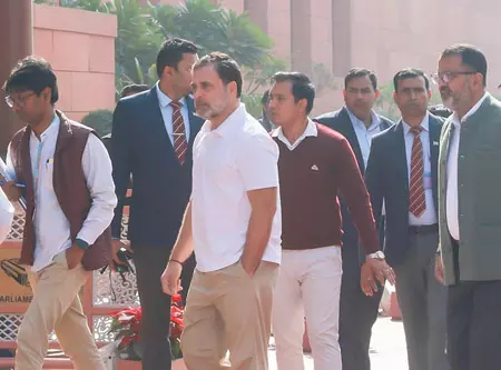 लोकसभा में अमित शाह के भाषण पर राहुल गांधी बोले, गृहमंत्री बहुत घबराए हुए थे लोकसभा में अमित शाह के भाषण पर राहुल गांधी बोले, गृहमंत्री बहुत घबराए हुए थे