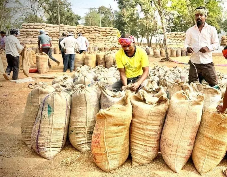 धमतरी में रिकॉर्ड रफ्तार से धान खरीदी, किसानों को 409 करोड़ का हुआ भुगतान धमतरी में रिकॉर्ड रफ्तार से धान खरीदी, किसानों को 409 करोड़ का हुआ भुगतान