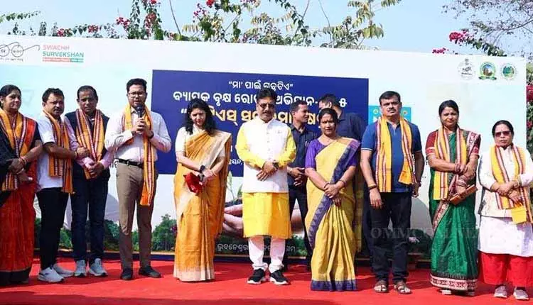 BMC ने सैनिक स्कूल के पास TTS में बड़े पैमाने पर पेड़ लगाने का अभियान शुरू किया BMC ने सैनिक स्कूल के पास TTS में बड़े पैमाने पर पेड़ लगाने का अभियान शुरू किया
