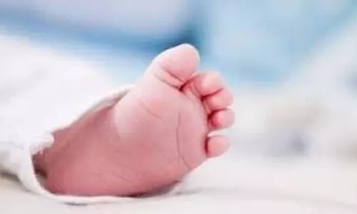 Bhopal :अस्पताल परिसर में कचरे में मिले दो नवजातों के अधजले शव, मचा हड़कंप Bhopal :अस्पताल परिसर में कचरे में मिले दो नवजातों के अधजले शव, मचा हड़कंप