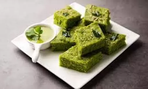 Palak Hara Dhokla : मिनटों में बनाएं फूला-फूला ढोकला, हेल्दी और टेस्टी Palak Hara Dhokla : मिनटों में बनाएं फूला-फूला ढोकला, हेल्दी और टेस्टी