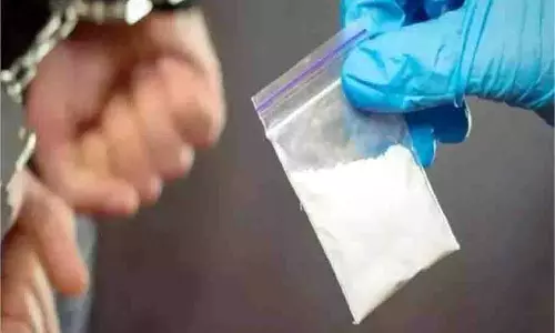 Afghanistan: पुलिस ने  258 किलो नशीले पदार्थ के साथ 31 तस्करों को दबोचा