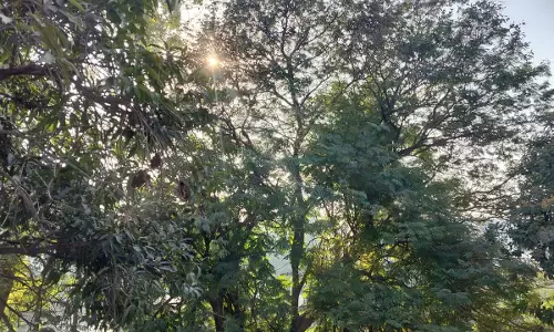 भीषण ठंड पड़ रही इस बार छत्तीसगढ़ में