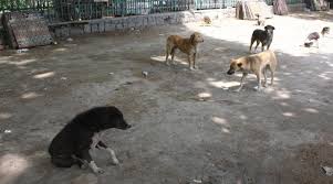 J&K govt ने शहरी स्थानीय निकायों को शिक्षा संस्थानों की सुरक्षा करने का निर्देश दिया