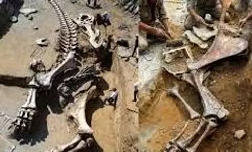 Discovery : चीन के नए डायनासोर की खोज ने वैज्ञानिकों की उड़ा दी नींद Discovery : चीन के नए डायनासोर की खोज ने वैज्ञानिकों की उड़ा दी नींद