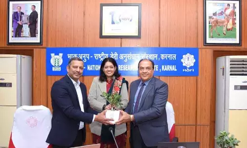Karnal डॉ. काव्या दशोरा: भारत के डेयरी सेक्टर के लिए AI से बदलाव ज़रूरी Karnal डॉ. काव्या दशोरा: भारत के डेयरी सेक्टर के लिए AI से बदलाव ज़रूरी