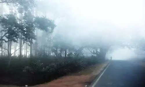 ओडिशा में शीतलहर, G. Udayagiri में सबसे कम तापमान 3.1°C दर्ज किया गया