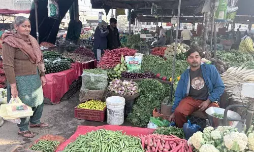 Ludhiana: चुनावी पार्टियों और शादियों की वजह से सब्ज़ियाँ लोगों की पहुँच से दूर हो रही Ludhiana: चुनावी पार्टियों और शादियों की वजह से सब्ज़ियाँ लोगों की पहुँच से दूर हो रही
