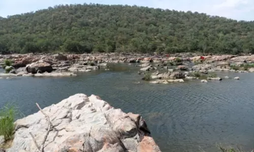 Karnataka: मेकेदातु परियोजना के लिए एक्सपर्ट टीम का गठन
