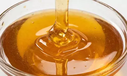 मिलावटी शहद की पहचान कैसे करें, इन शानदार Tips को फॉलो करें मिलावटी शहद की पहचान कैसे करें, इन शानदार Tips को फॉलो करें