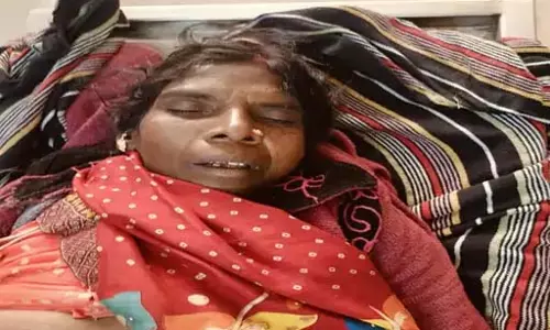 धान की रखवाली कर रही महिला को हाथी ने मार डाला धान की रखवाली कर रही महिला को हाथी ने मार डाला