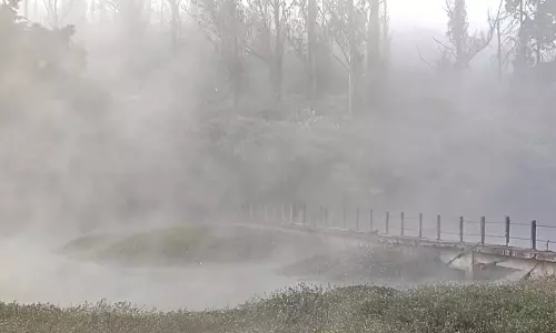 Ooty में तापमान में अचानक गिरावट से कंपकंपी मची, तमिलनाडु के नीलगिरी में पाले की चादर बिछी Ooty में तापमान में अचानक गिरावट से कंपकंपी मची, तमिलनाडु के नीलगिरी में पाले की चादर बिछी
