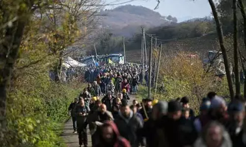France में लम्पी स्किन डिज़ीज़ से ग्रस्त गायों को मारने पर किसान प्रदर्शन तेज