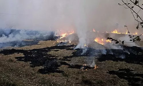 New Delhi: पंजाब और हरियाणा में पराली जलाने के मामलों में कमी New Delhi: पंजाब और हरियाणा में पराली जलाने के मामलों में कमी